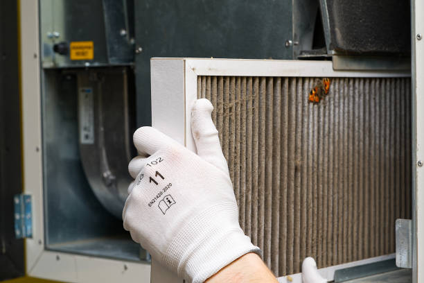 Best Emergency Air Duct Cleaning  in Fox Chase, PA