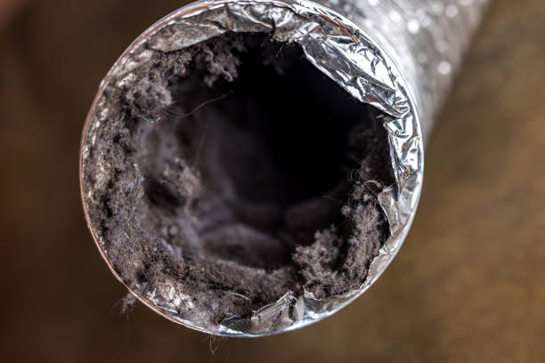 Best Local Air Duct Cleaning Services  in Fox Chase, PA